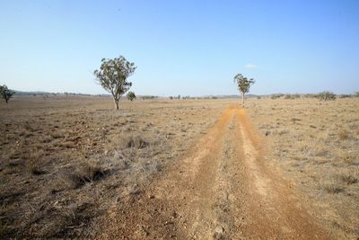 Dumaresq Solar Farm Site