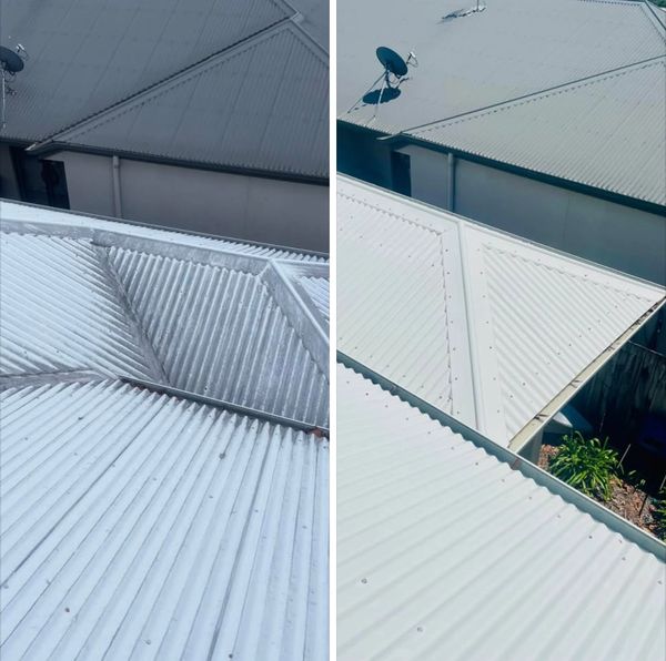 Roof Clean in Meridan Plains