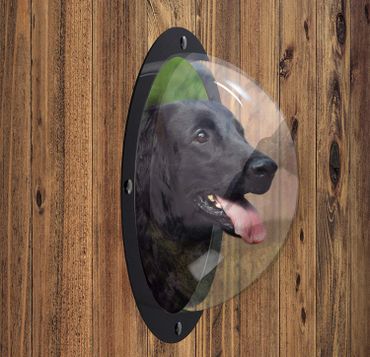 Pet windows for dogs can be added to a wood privacy fence.