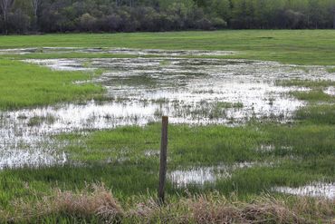 Flooding in the Spring or early Summer can ruin a season if not managed