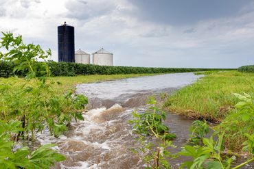 Too much rain can make the business of agriculture impossible.  