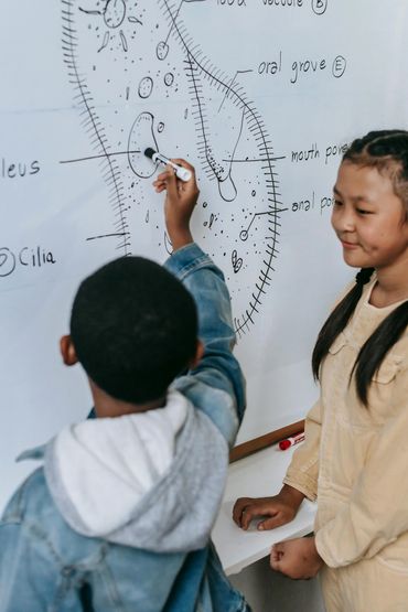 Two children study and label a biological cell diagram on a whiteboard.