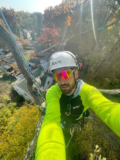 Tree Care Ohio arborist climbing a large tree in Licking County, Ohio.