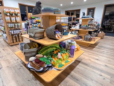 Pet store displays various pet supplies and toys on wooden shelves.