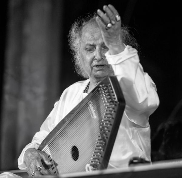 Elderly musician playing a harp-like instrument.