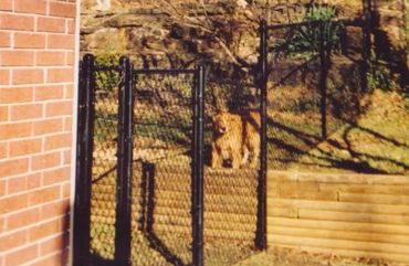 Stair Stepping down the hill