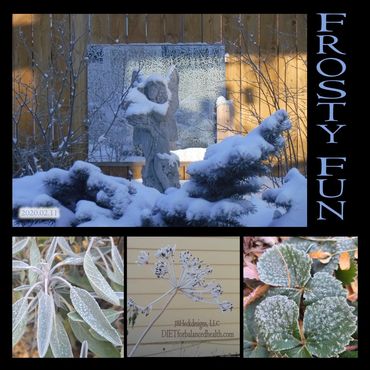 Frosty fence mirror, strawberry n sage leaves, and dill seeds. Snowy garden fairy statue n spruce