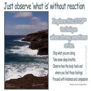 Just Observe Infographic.   Hawaiian coastline: Rocky edges with ocean blue and white waves crashing