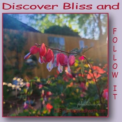 Intention-Discover Bliss and Follow It. Garden setting with crimson bleeding heart flowers.