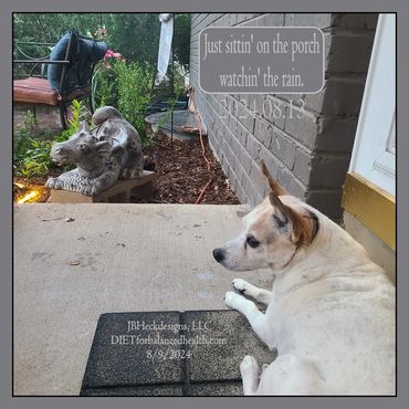 Gray ceramic dragon statue and white Jack Russel Terrier canine watching the rain come down.