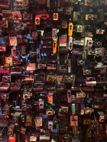 A wall covered with a diverse collection of vintage Polaroid cameras.