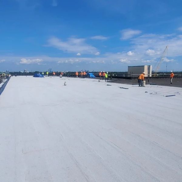 flat commercial roof, TPO roof