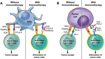 immünoterapi - onkoloji
