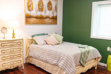 inside view of a house with bed green wall and sofa