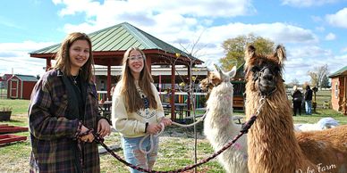 Planning a Llama Party? Whether it's for a birthday, baby shower, or other special occasion, you'll