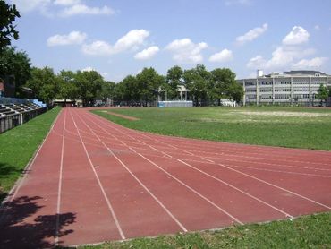 Greenpoint , Atelier dela casa Schooling in Spanish and French