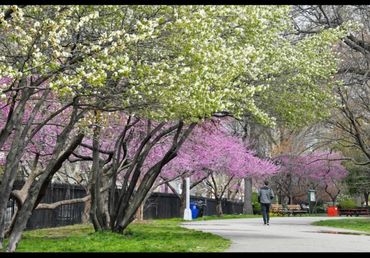 mc carren park momtessori school brooklyn atelier de la casa