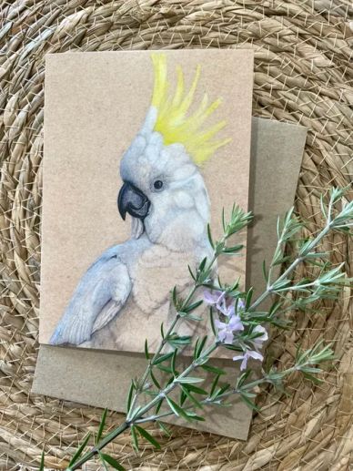 Card with a colored pencil drawing of a cockatoo.