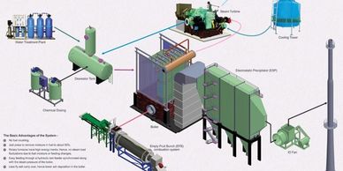 POWER FROM PALM EMPTY FRUITS BUNCH