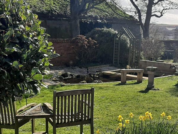 A garden in Berwick