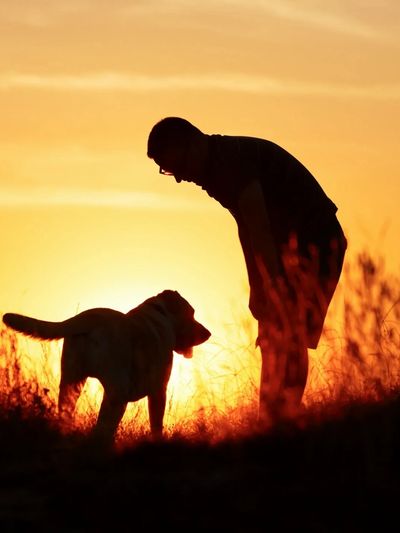 Peaceful sunset, afterlife care for dead pet, compassionate pet services.