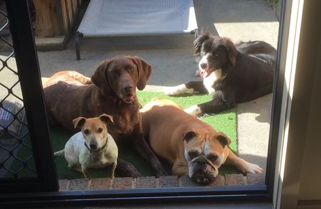 not running in the back door