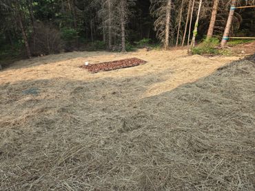 Completed Waterloo Biofilter Septic Field