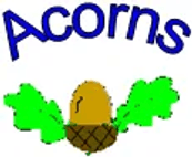 Acorns Playgroup Ltd 