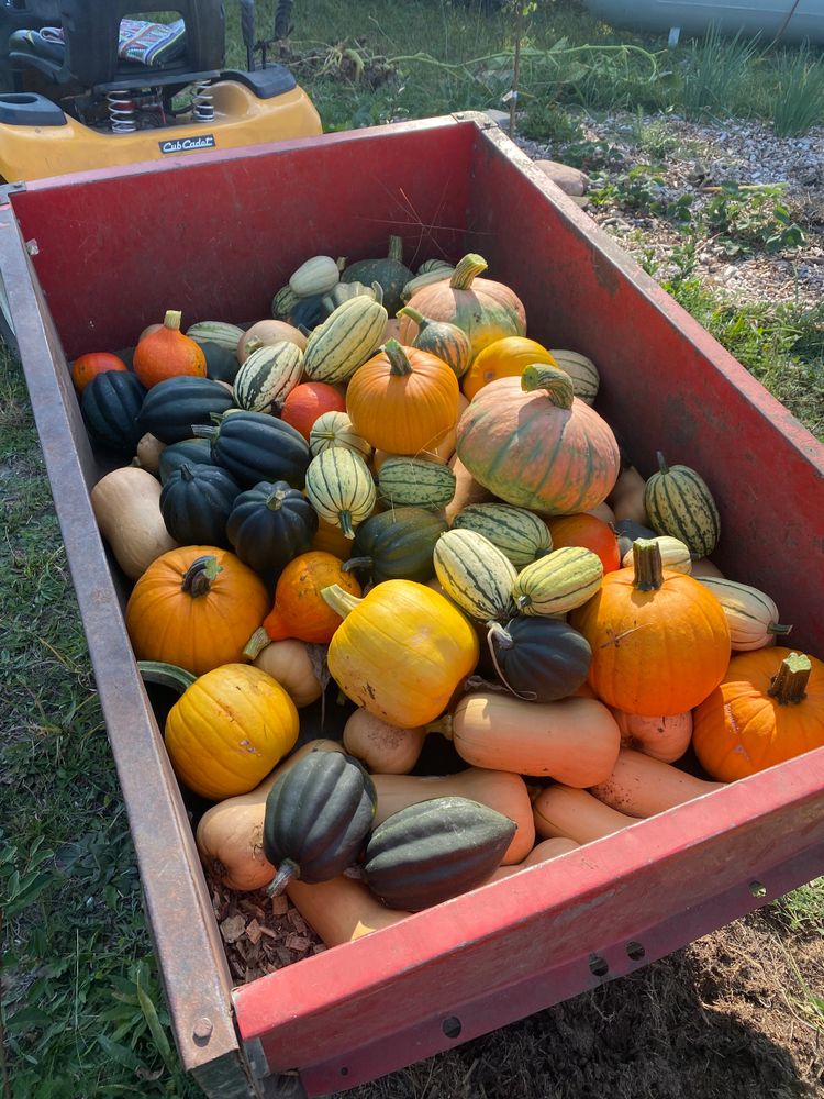 trailer full of fall pumkins and gourds