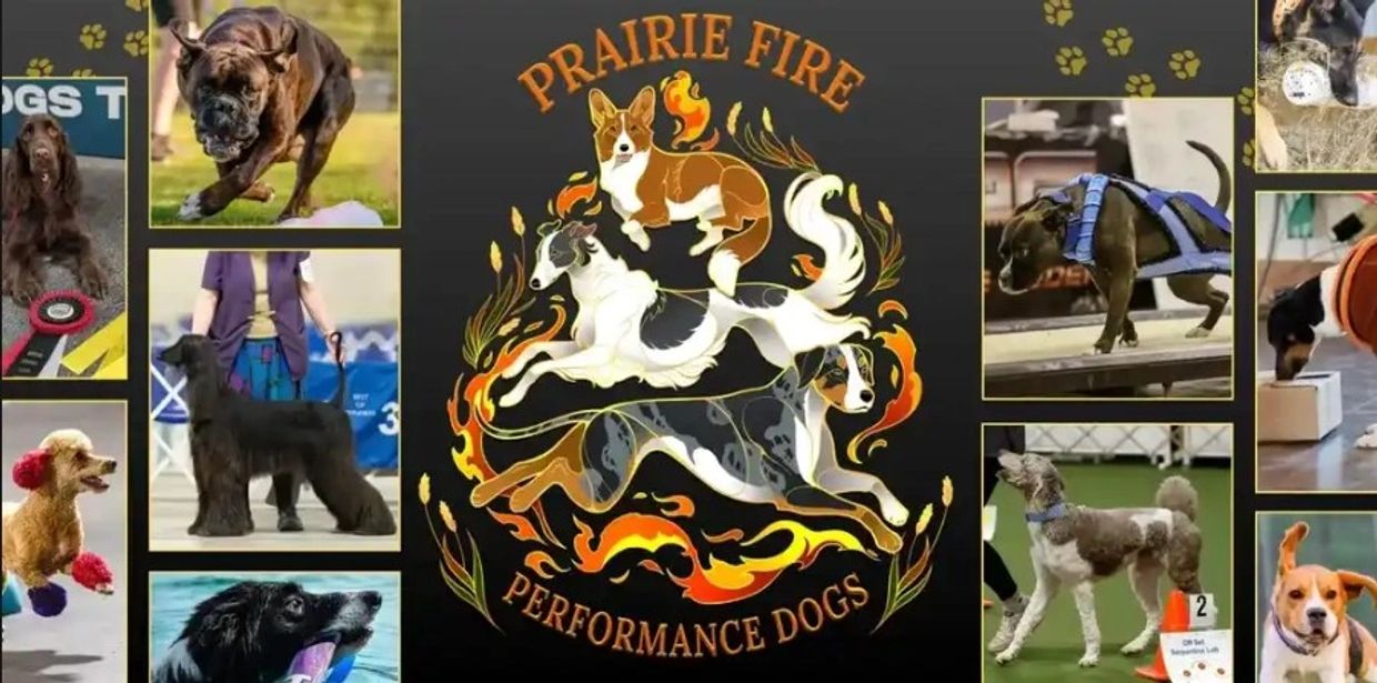 Collage of various performance dogs surrounding a Prairie Fire Performance Dogs logo.