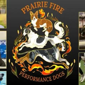 Logo of Prairie Fire Performance Dogs with three illustrated dogs and flames.
