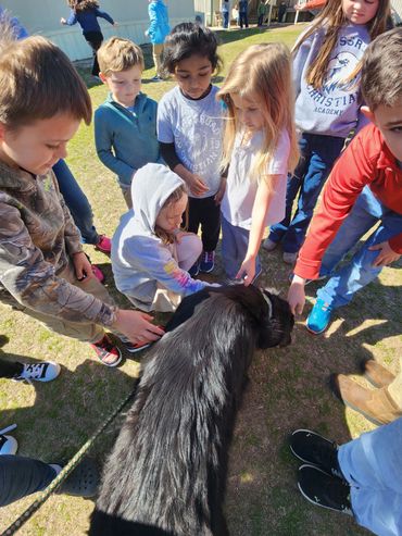 Children gathered outdoors petting a large black dog on a sunny day.
