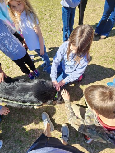 Children petting a black dog outdoors on a sunny day.