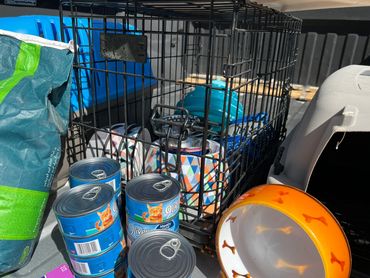 Cans of cat food, bowls, and pet crates arranged together outdoors.