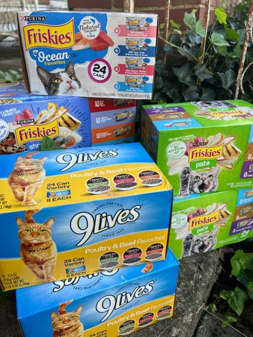 Assorted cat food boxes from Friskies and 9Lives stacked outdoors near greenery.