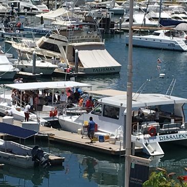 The Rissalena Catamaran is located in the lovely port of Cabo San Lucas.