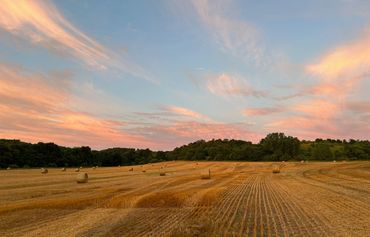 Golden hay bales scattered across a field at sunset.