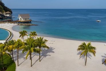 Pristine beach with palm trees and calm ocean waters under clear sky.