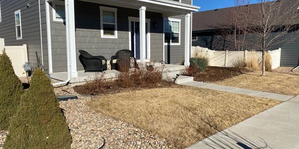 before photo, xeriscape conversion, Lafayette, Colorado
