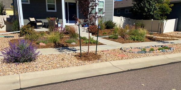 xeriscape, xeriscaping, drip irrigation, perennials, ornamental grasses, shrubs, Lafayette Colorado