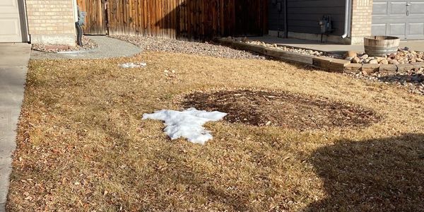 landscape renovation, Thornton Colorado