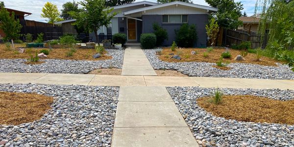xeriscape, pollinator garden, xeriscaping, drip irrigation, Broomfield, Colorado