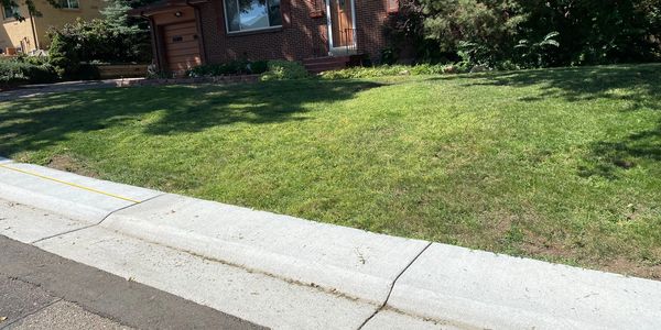 before photo Arvada, Colorado landscape renovation, landscape design