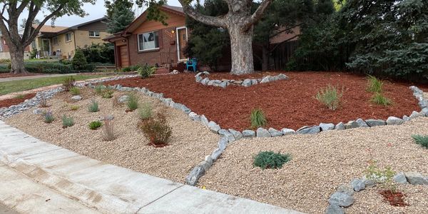 front yard xeriscape, xeriscaping,  drip irrigation, pollinator plants, Arvada, Colorado