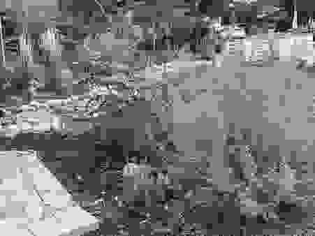 image30