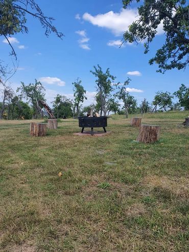 firepits/wood/kindling & firelighters