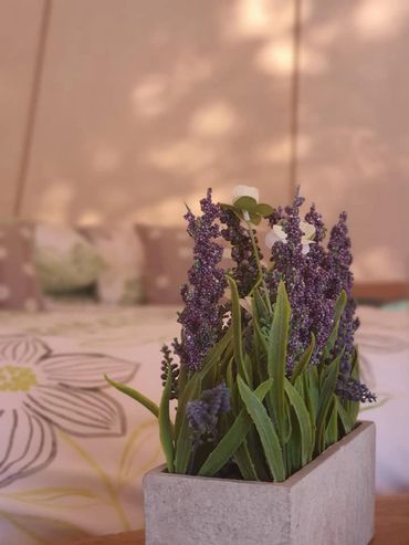 flowers in bell tent