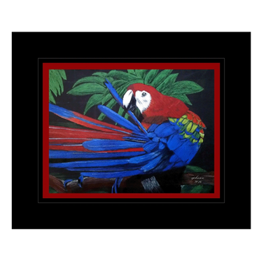 Painting of a blue and red parrot.