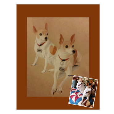 Portrait of two pet terriers