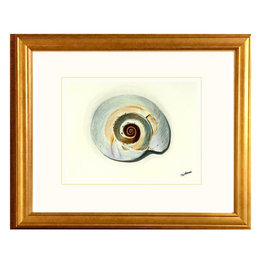Painting of the Nautilus Shell. Available for purchase.